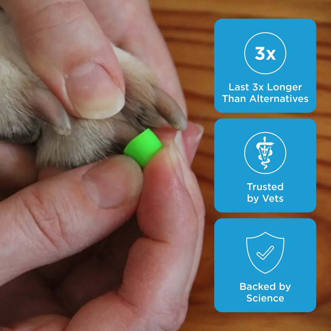 Dr. Buzby's ToeGrips® for Dogs