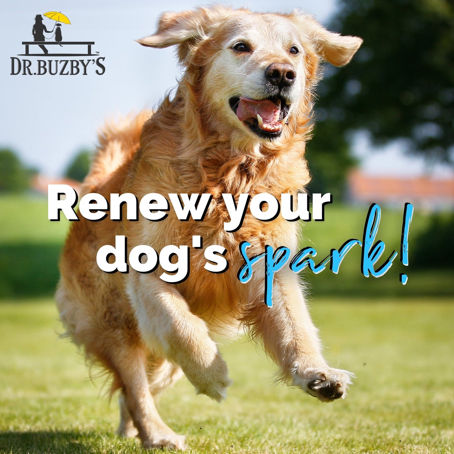 Dr. Buzby’s Encore Mobility™ Flexible Autoship