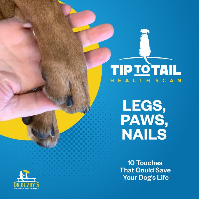 Dr. Buzby's Master Class: The Tip-to-Tail Health Scan™