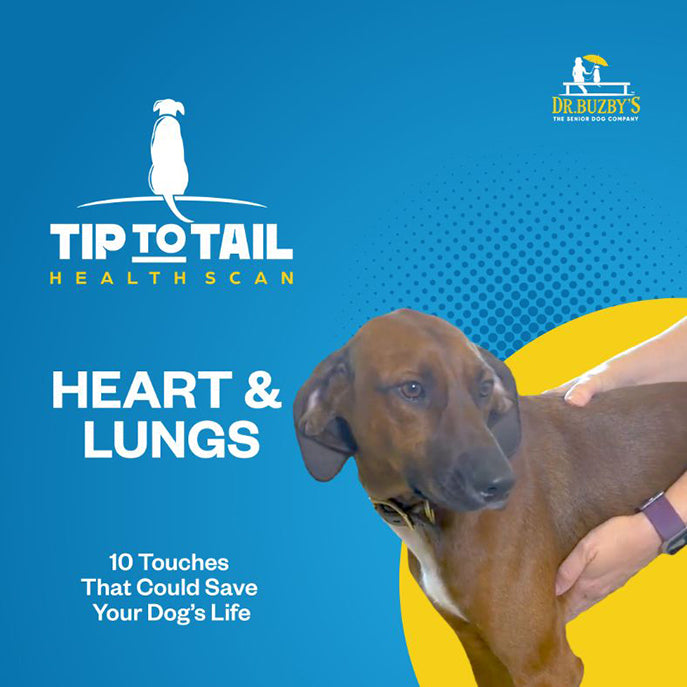 Dr. Buzby's Master Class: The Tip-to-Tail Health Scan™