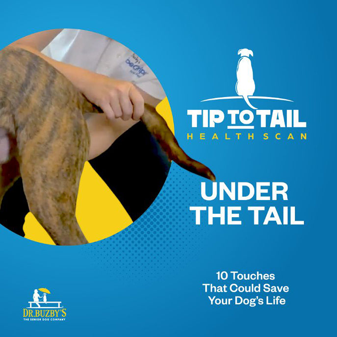 Dr. Buzby's Master Class: The Tip-to-Tail Health Scan™