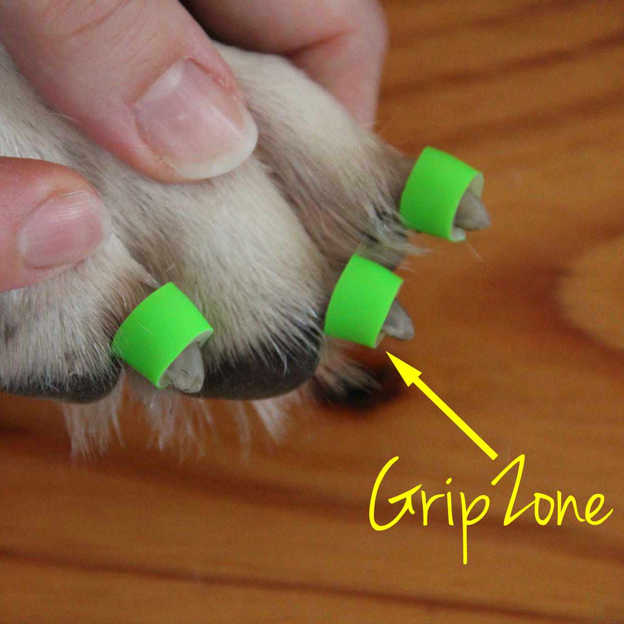 Dr. Buzby's ToeGrips® for Dogs