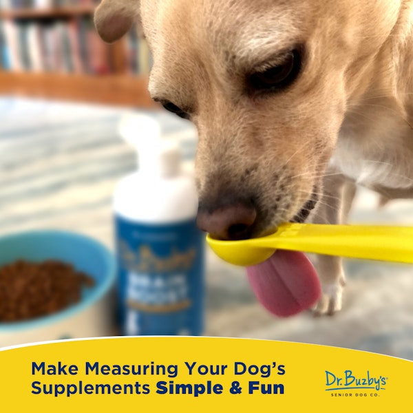 Dr. Buzby's Measuring Spoon Set