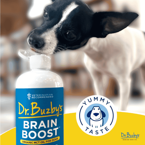 Dr. Buzby’s Brain Boost™ Organic MCT Oil for Dogs