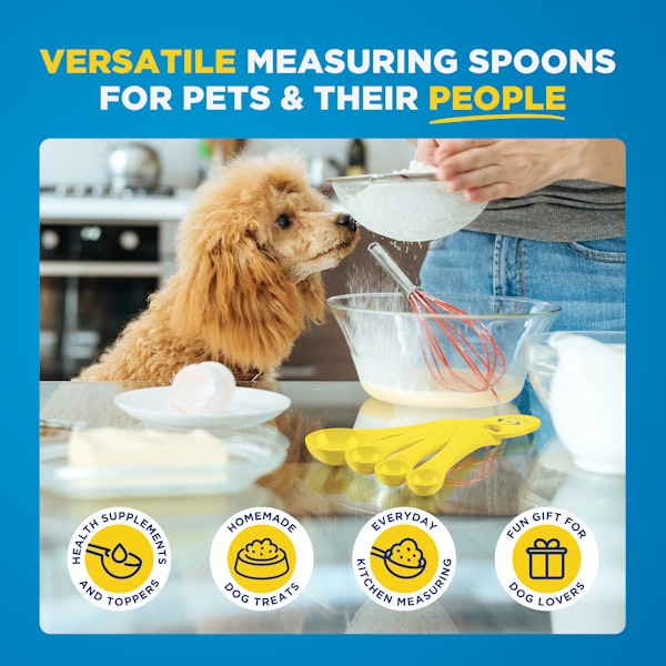 Dr. Buzby's Measuring Spoon Set