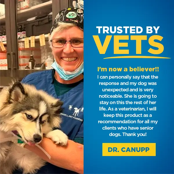 Dr. Buzby’s Brain Boost™ Organic MCT Oil for Dogs