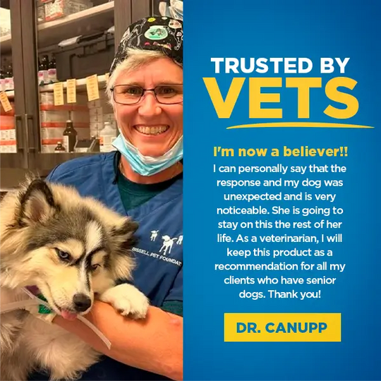 Dr. Buzby’s Brain Boost™ Organic MCT Oil for Dogs