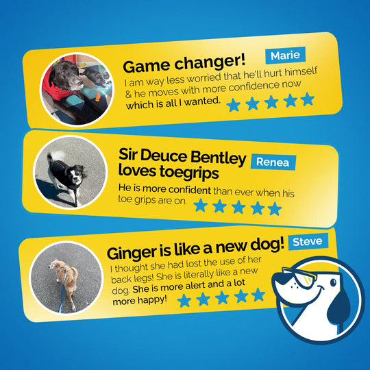 Dr. Buzby's ToeGrips® for Dogs