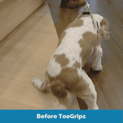 Dr. Buzby's ToeGrips® for Dogs