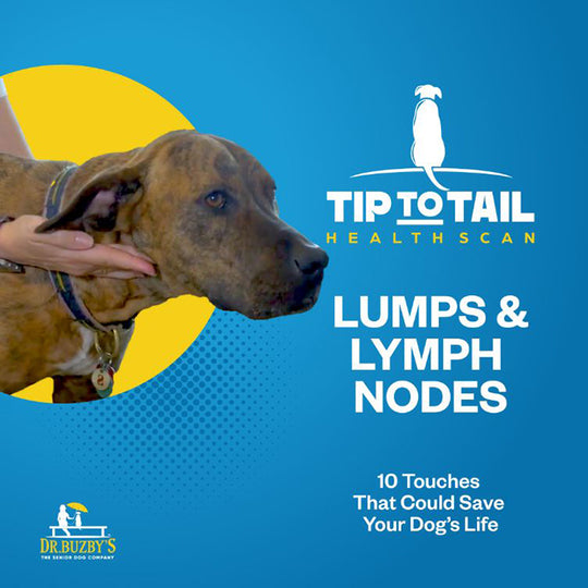 Dr. Buzby's Master Class: The Tip-to-Tail Health Scan™