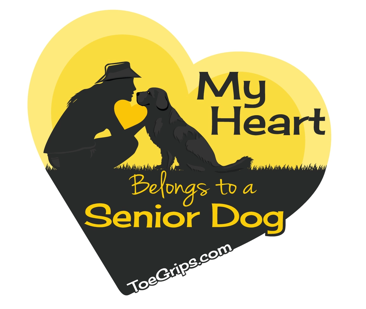 "My ❤️ Belongs to a Senior Dog" Vinyl Sticker