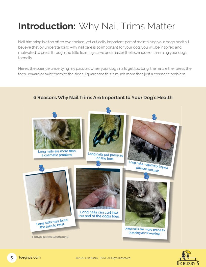 Ebook: How to Trim Your Dog’s Nails Without Blood, Sweat, or Tears