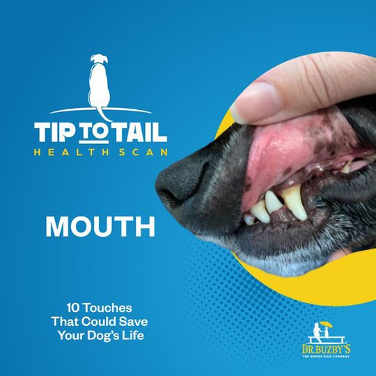 Dr. Buzby's Master Class: The Tip-to-Tail Health Scan™